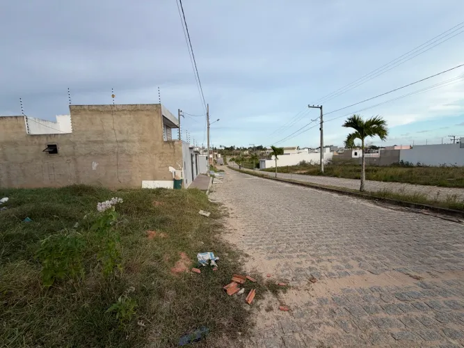 Colorado Luar lagarto . Vendo ou troco