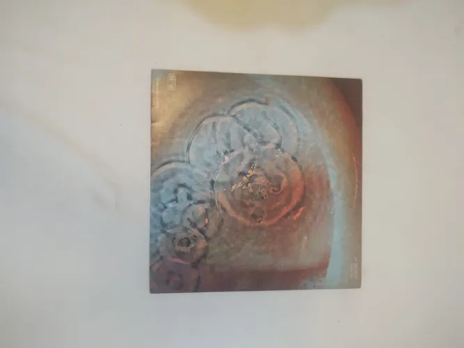 LP Raro Pink Floyd -Meddle 1972- Echoes - vinil nacional