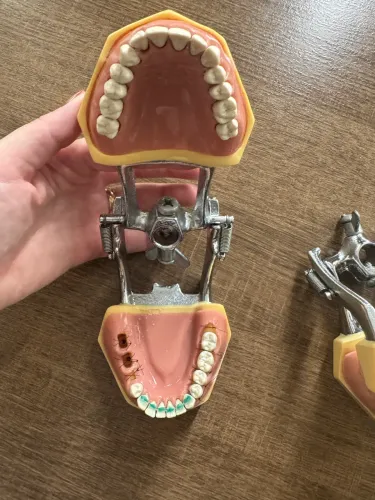 MANEQUIM MOM - ODONTOLOGIA 