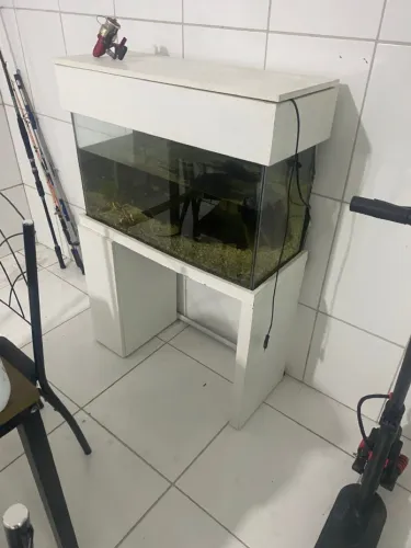 Aquario