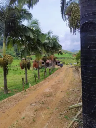 Sitio em Cristo Rei - Pedra Azul 15.206 M