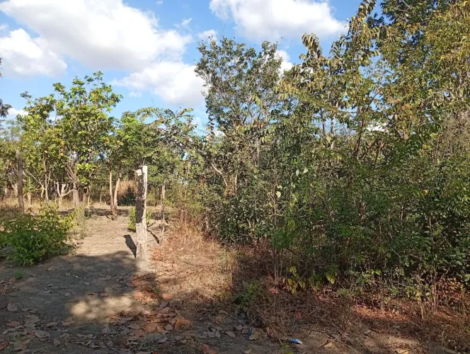 Terreno 8 x 20 m