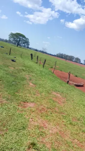 Sítio 14,75 Alqueires (35,7 ha) Plano em Angélica MS