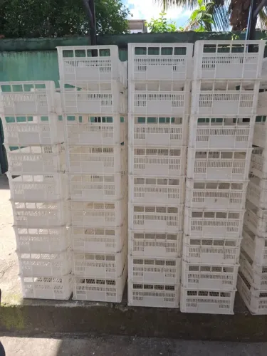 Caixas para Congelamento de Salgado