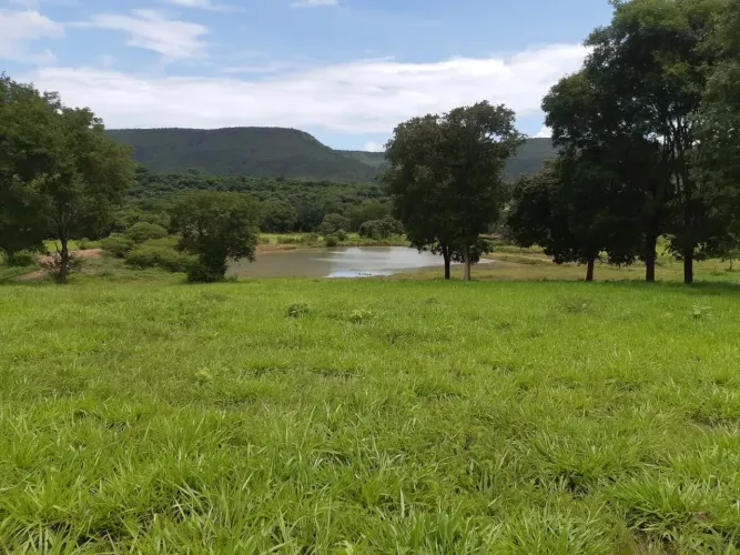 FAZENDA COM RIO À VENDA NO GOIÁS | 280 ALQUEIRES PARA PECUÁRIA