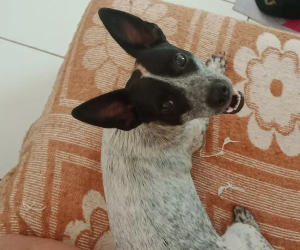 Doa se