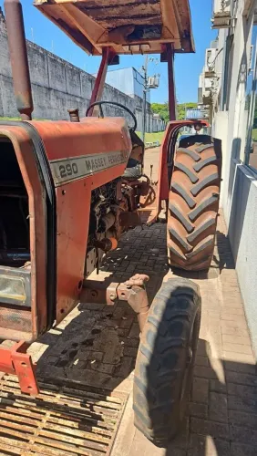 Trator masseira Ferguson 290 leve