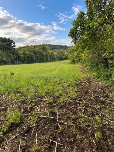 Chácara 20.000m² em Almirante Tamandaré | R$ 200 mil de entrada
