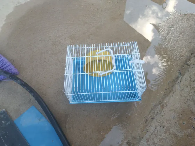 Gaiola de hamster pequena com marcas de ferrugens favor ler a descrição 