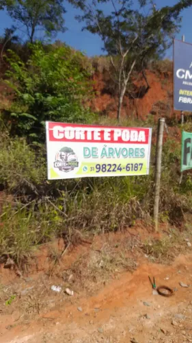 CORTE E PODA DE ÁRVORES ORÇAMENTOS PELO ZAP *