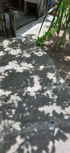 Sítio aconchegante, sede, sombra e arvore frutifera