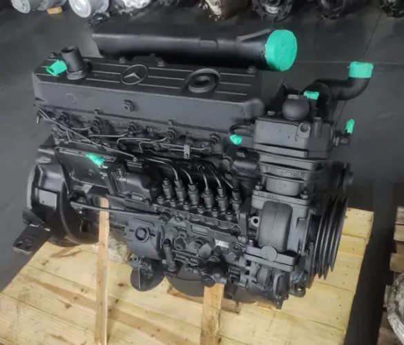 Motor Mercedes 366 LA - Nova Jerusalém Diesel
