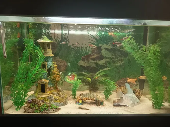 Aquário 72L com móvel completo com todos os acessorios