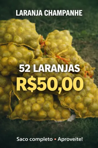 ? Laranja Champanhe Premium - Suculenta e Docinha!