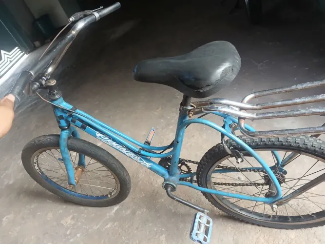 Ceci aro 20