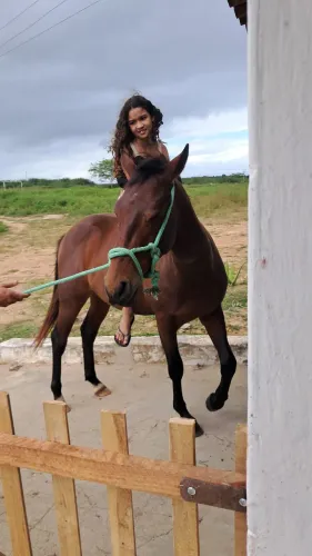 Cavalos 