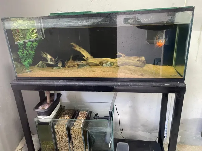 Aquário com base e sump