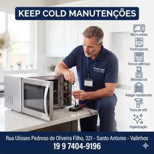 Manutenção em Microondas