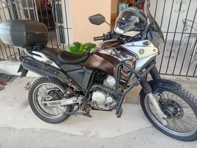 Tenere 250 2019