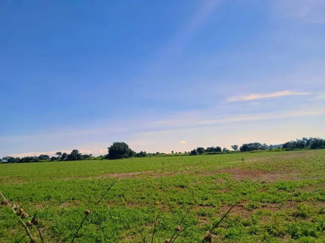 Fazenda no Núcleo Rural no Rio Preto Planaltina-DF com 192 hectares