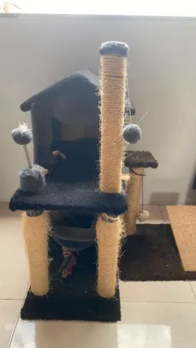 Arranhador para gato