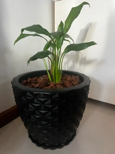 VASO COM PLANTA