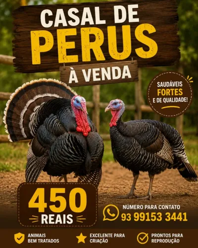 Casal de perus adultos
