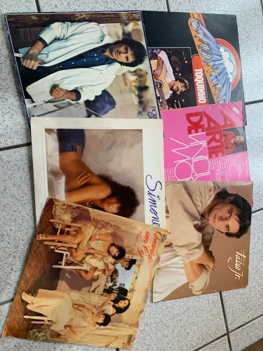LOTE de 30 Discos de vinil diversos. Consultar antes os discos disponíveis no momento