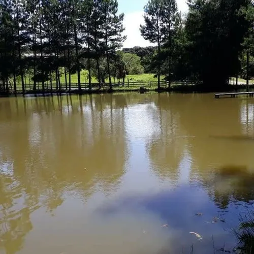 VENDO LINDA CHACARA COM MUITA AGUA