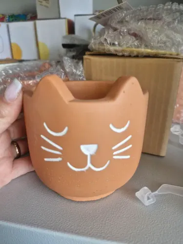 Cachepot vaso de cimento gato
