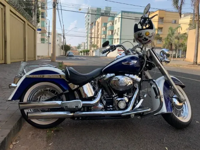 HARLEY DAVIDSON SOFTAIL DELUXE 2007 FLSTN