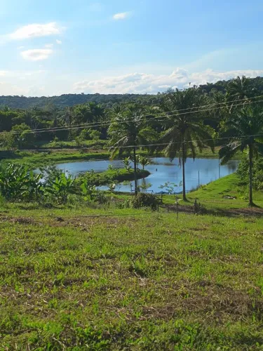 Vendo excelente Fazenda em Valença 