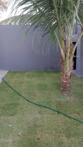 Serviço de limpeza de quintal e jardinagem