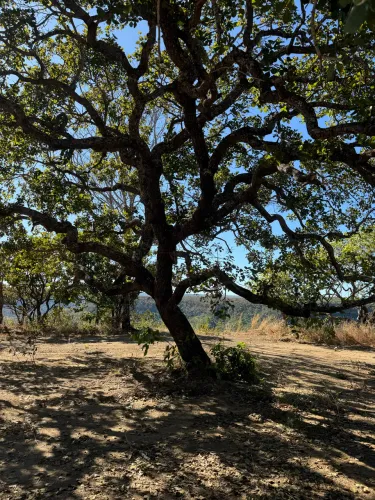 Chácaras a venda Taquarussu