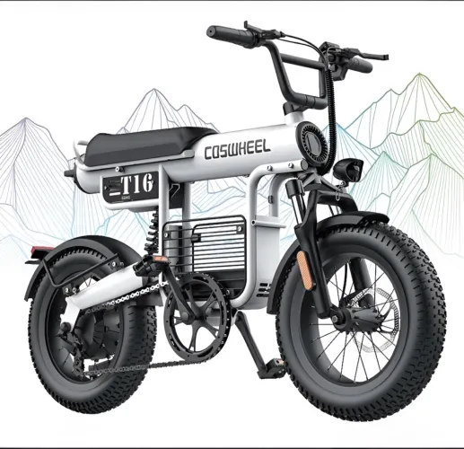Bicicleta Elétrica T16