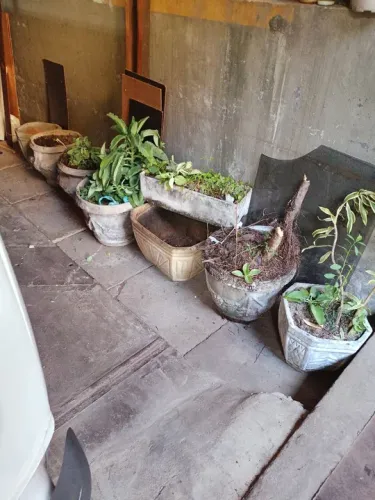 Vasos de Planta em Cimento
