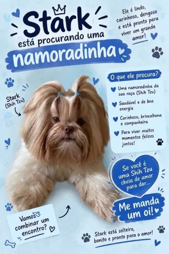 Stark procura namoradinha