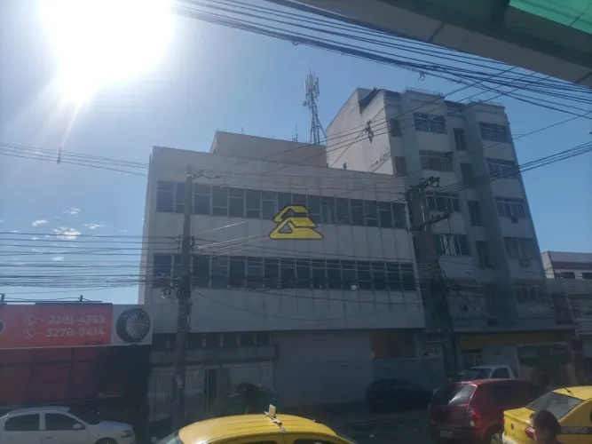 Jacaré | Loja