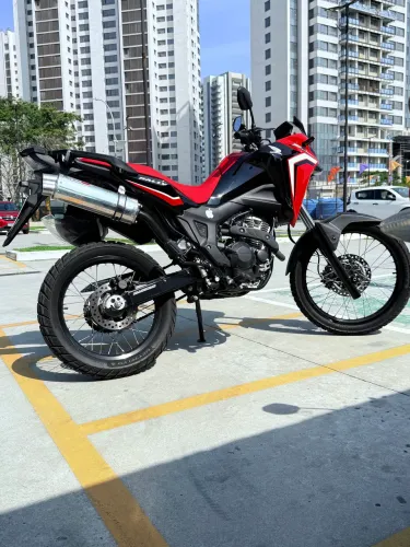 Coyote boca 8 