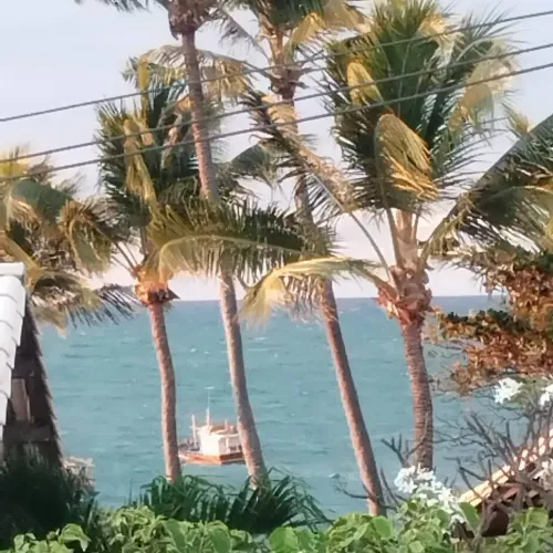 Terreno 200 m2 em Olhos d'água (Praia do Forte) R$ 50 mil - Mata de São João - BA