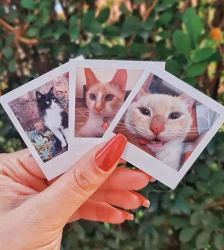 Fotos polaroid 30 polaroides por 25,00