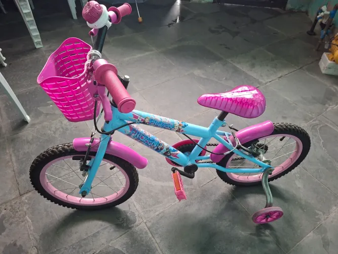 Bicicleta