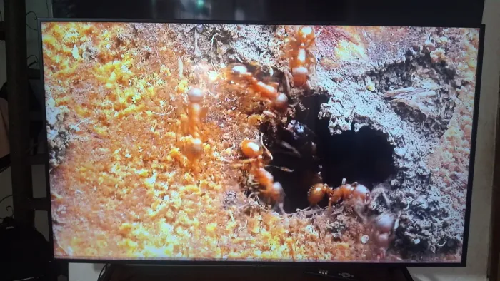 Tv Samsung 65 smart 4k