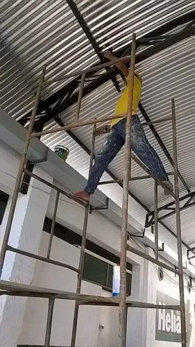 Pintor profissional 