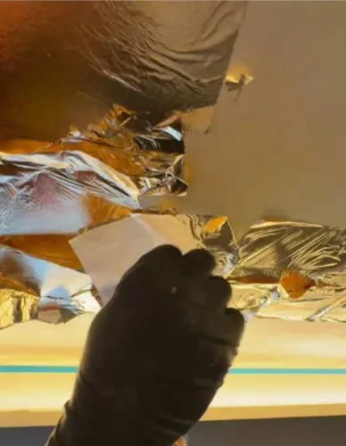 Folhas de ouro* pintor disponível *