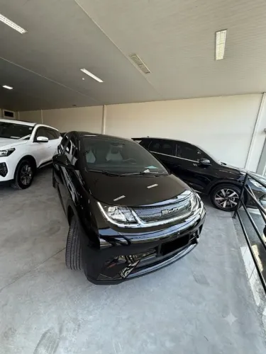 BYD Dolphin GS (Elétrico) 2024