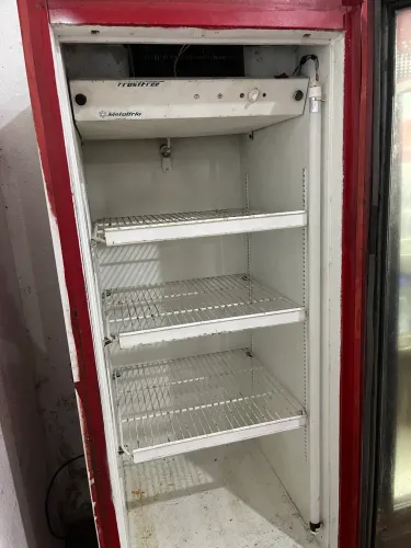 Freezer vertical