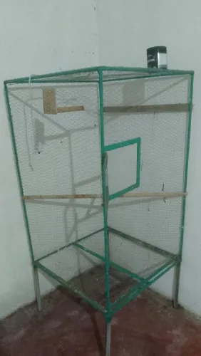 Vendo e troco viveiro
