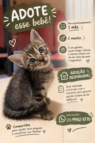 Adoção responsável 
