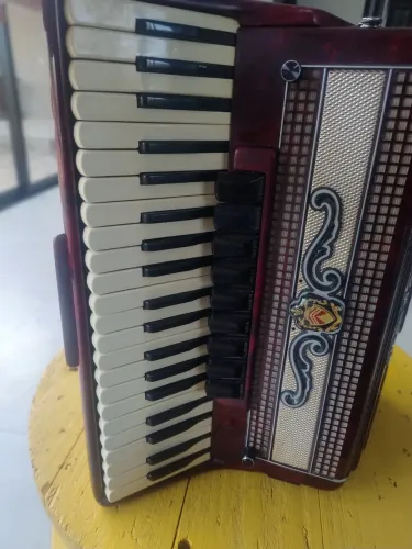 Sanfona 120 reduzida 